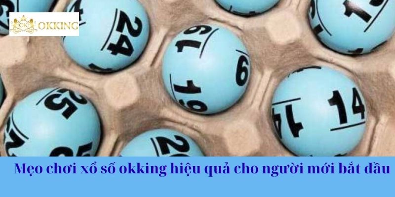 Mẹo chơi xổ số okking hiệu quả cho người mới bắt đầu